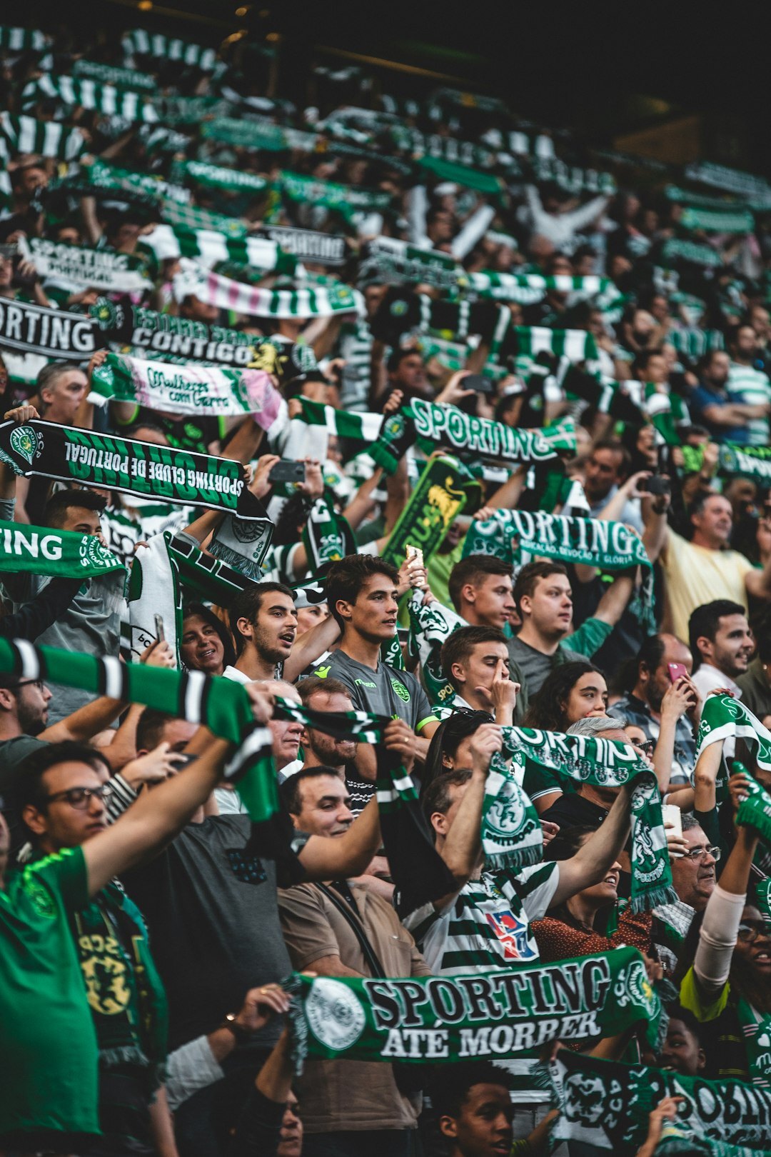 sports fans cheering